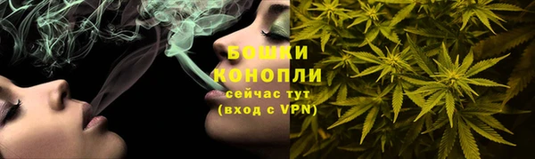 бошки Богородицк