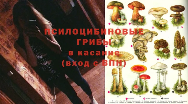 стафф Белокуриха